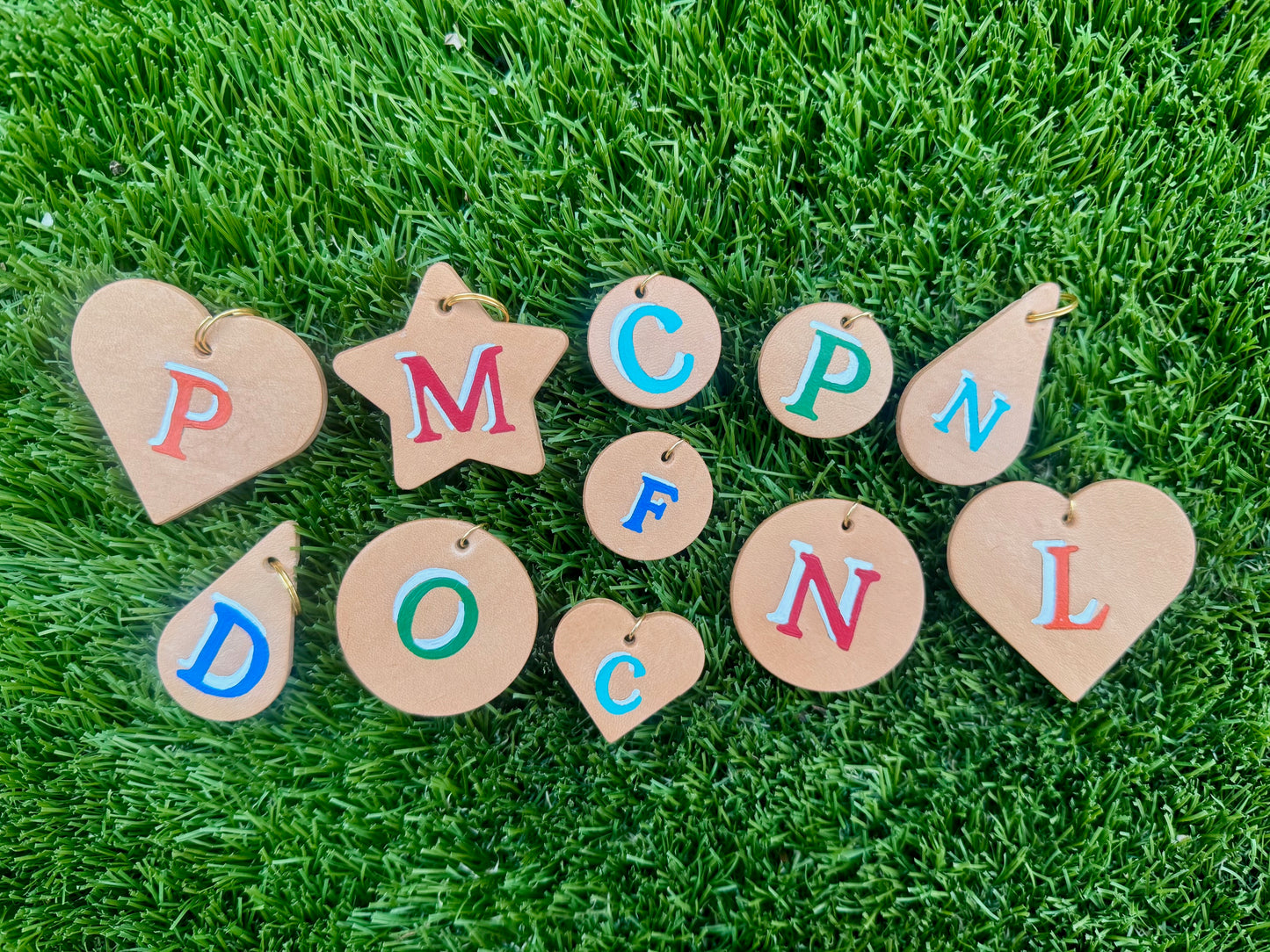 Hand-Painted Leather Dog and Cat Tags / Charms